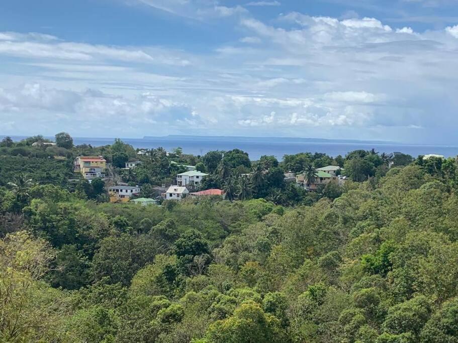 Les Villas Du Bambou - Villa Paprika Jusqu'A 6 Pers Le Gosier  Luaran gambar